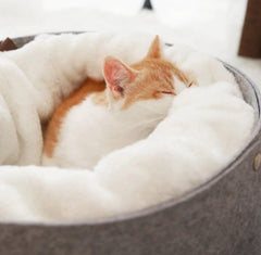 Fluffy Warm Pet Bed